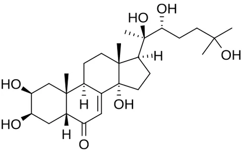 ecdysteroid: any of a group of hormones responsible for moulting in insects and other functions in other...