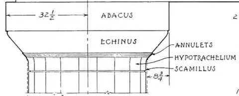 echinus: a sea urchin