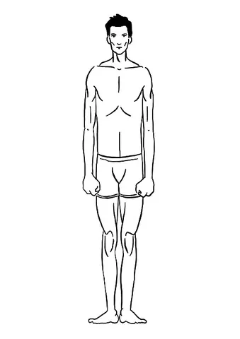 ectomorph: someone with a lean, only slightly muscular body
