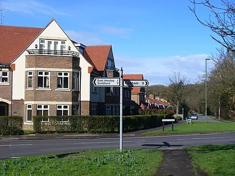 effingham junction: a settlement alongside a railway junction and station in East Horsley parish, Guildford borough,...