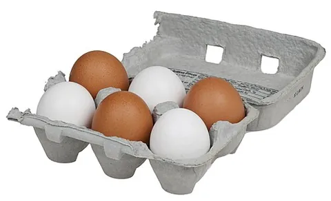 egg carton: a specialized container, usually made of cardboard, with indentations for holding individual eggs