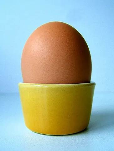 eggcup: a small dish used to support a boiled egg while it is eaten