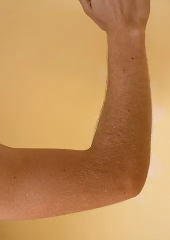 elbow: the joint between the upper arm and the forearm
