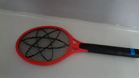 electric flyswatter: a flyswatter with an electric current flowing through the metal mesh