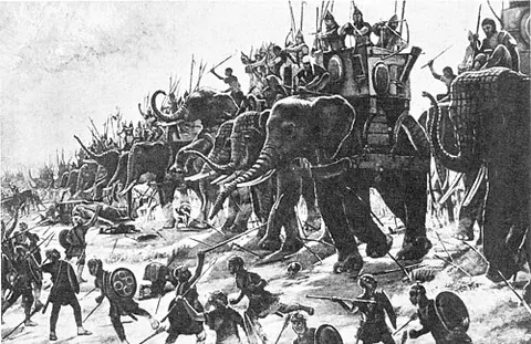 elephantry: a branch of an army that uses elephants