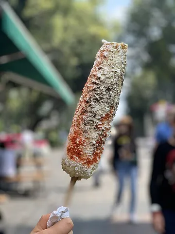 elote: corn (maize) harvested before reaching full maturity