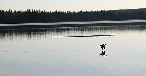 emma lake: a lake in Saskatchewan, Canada