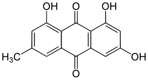 emodin: a purgative resin, 6-methyl-1,3,8-trihydroxyanthraquinone, obtained from some rhubarbs and other...