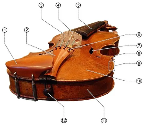 endbutton: in a violin-family instrument, the carved wooden plug which sits in the bottom block of the...