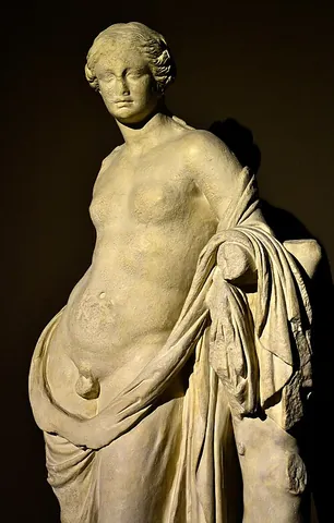 epicene: of or relating to a class of Greek and Latin nouns that may refer to males or females but have a...
