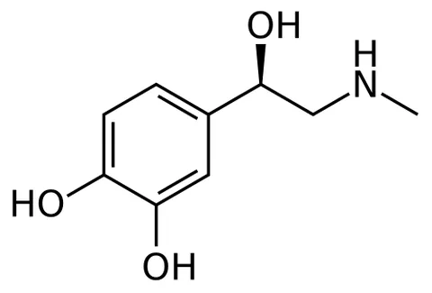 epinephrine: a catecholamine hormone and neurotransmitter; as a hormone, secreted by the adrenal gland in...