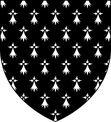 ermines: in blazon, coloured with a heraldic fur of a black field with white spots; counter-ermine