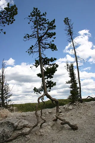 erosion: the result of having been worn away or eroded, as by a glacier on rock or the sea on a cliff face