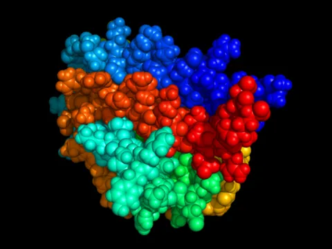 erythropoietin: a glycoprotein hormone that functions as a cytokine for erythrocyte precursors in bone marrow