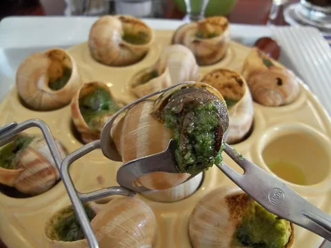 escargot: a dish, commonly associated with French cuisine, consisting of edible snails