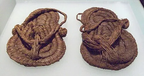 esparto: stipa tenacissima, of North Africa