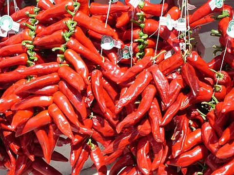 espelette pepper: a variety of Capsicum annuum pepper cultivated in the French commune of Espelette