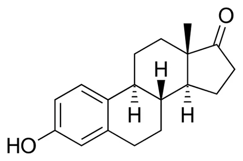 estrone: a natural estrogenic hormone that is a ketone C₁₈H₂₂O₂ found in the body chiefly as a metabolite of...