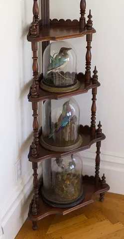 etagere: a piece of furniture with open shelves for displaying ornaments