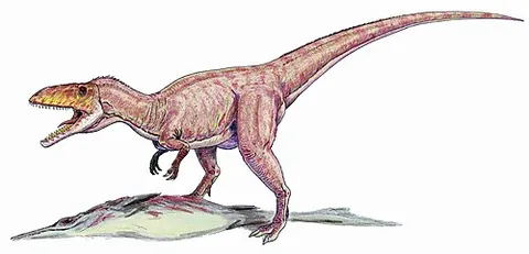 eustreptospondylus: a megalosaurid dinosaur, of the genus †Eustreptospondylus, from the Callovian stage of the Middle...