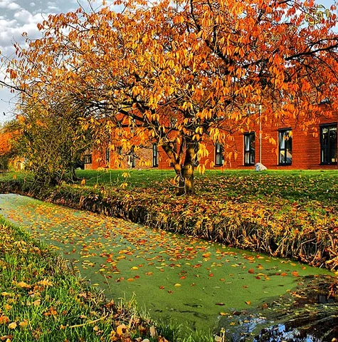 eutrophication: the process of becoming eutrophic; the ecosystem's response to the addition of artificial or...