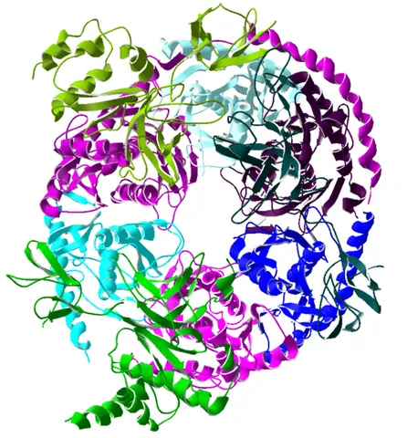 exosome complex: a multi-protein complex capable of degrading various types of RNA molecules and found in eukaryotic...