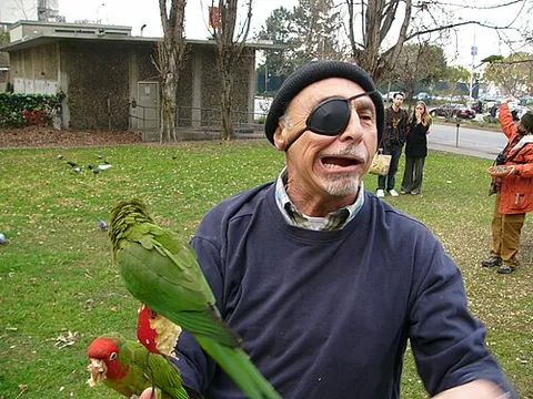 eye patch: an opaque patch worn so as to cover an injured or infected eye or an eye socket in order to protect...