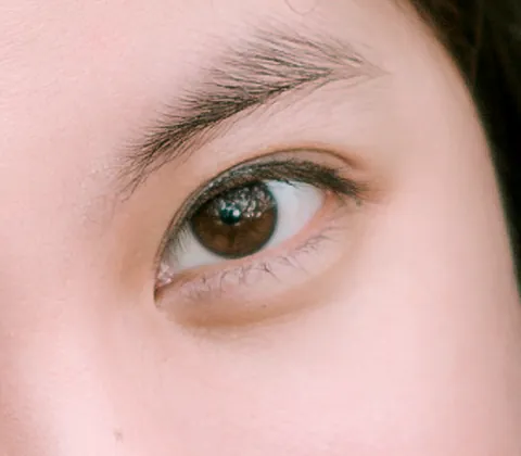 eyebrow: the hair that grows over the bone ridge above the eye socket