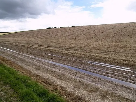 fallow: ground ploughed and harrowed but left unseeded for one year