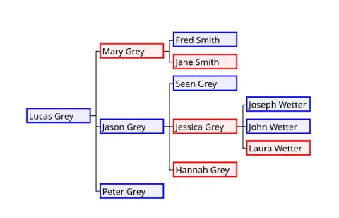 family tree: a diagrammatic representation of a pedigree, illustrating the connections between a person's...
