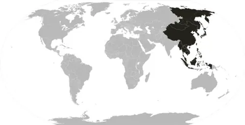 far east: a geographical region of Asia, consisting of East Asia (Korea, Japan, China, the Russian Far East,...