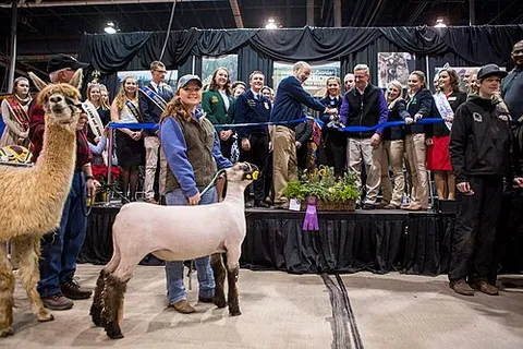 farm show: a periodic (usually annual) exhibition of farm life, agrotechnology, agribusiness, and amusement,...