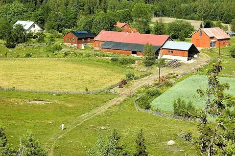 farm: a place where agricultural and similar activities take place, especially the growing of crops or...