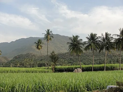 farmland: land that is suitable for farming and agricultural production