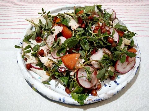 fattoush: a salad, from the Levant, made from toasted pitta bread with cucumber, tomato, mint etc