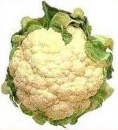 fauxtato: cauliflower when used as an alternative to potatoes by followers of a low-carbohydrate diet