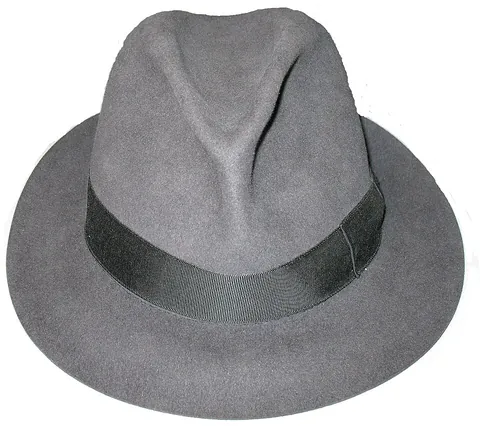 fedora: a felt hat with a fairly low, creased crown with a brim that can be turned up or down