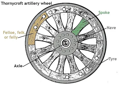 felloe: the rim of a wooden wheel, supported by the spokes