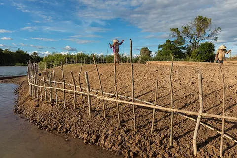 fence: a thin artificial barrier that separates two pieces of land or forms a perimeter enclosing the...