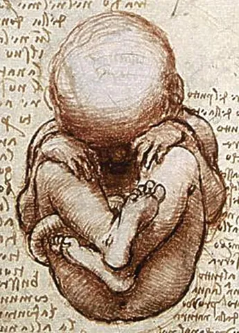 fetus: an unborn or unhatched vertebrate showing signs of the mature animal