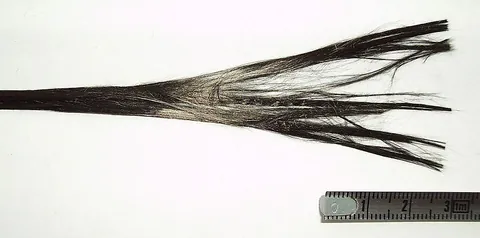 fiber: a single elongated piece of a given material, roughly round in cross-section, often twisted with...