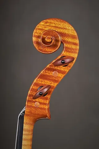 fiddlehead: the scroll-shaped decoration at the tip of a fiddle