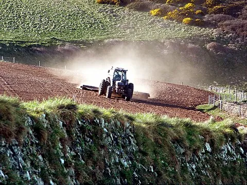 fieldwork: work done out in the fields as opposed to that done elsewhere on the farm (e.g., barn, house,...