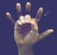 fifty: the cardinal number occurring after forty-nine and before fifty-one