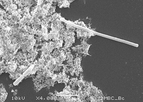 filamentation: the growth of filaments