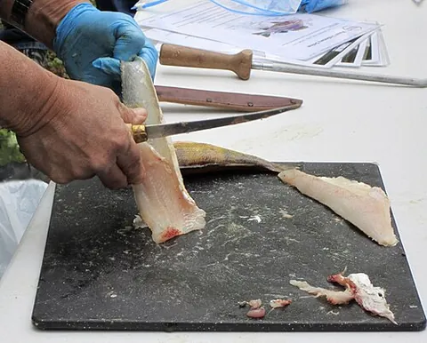 fillet knife: a flexible sharp-pointed and narrow-bladed kitchen knife, used for filleting