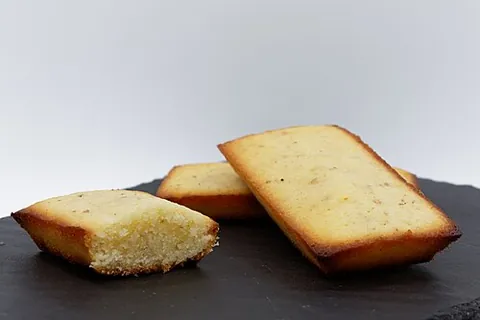 financier: a person who, as a profession, profits from large financial transactions