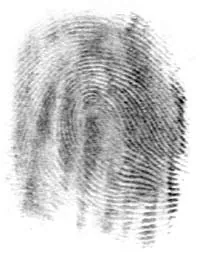 fingerprint: the natural pattern of ridges on the tips of human fingers, unique to each individual