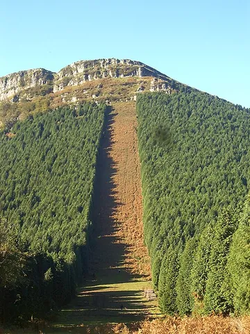 firebreak: an area cleared of all flammable material to prevent a fire from spreading across it