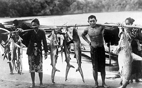 fisherfolk: people who fish for a living